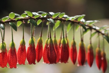 深圳南山区2私人快速借钱网，轻松解决资金难题
