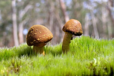 深圳南山区2私人老板放款：轻松融资的秘密通道